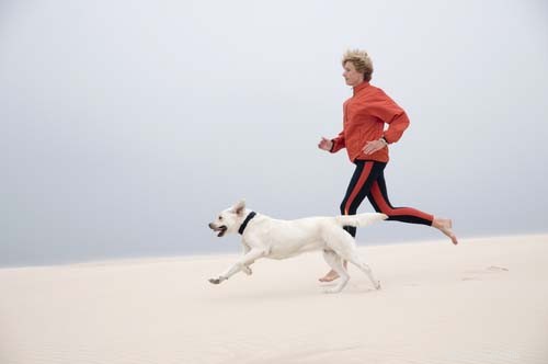 Top 10 Dogs Perfect for Running Together