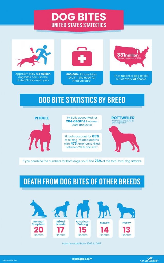 2021 U.S. Dog Bite Statistics: Comparing 19 Breeds for Safety Insights