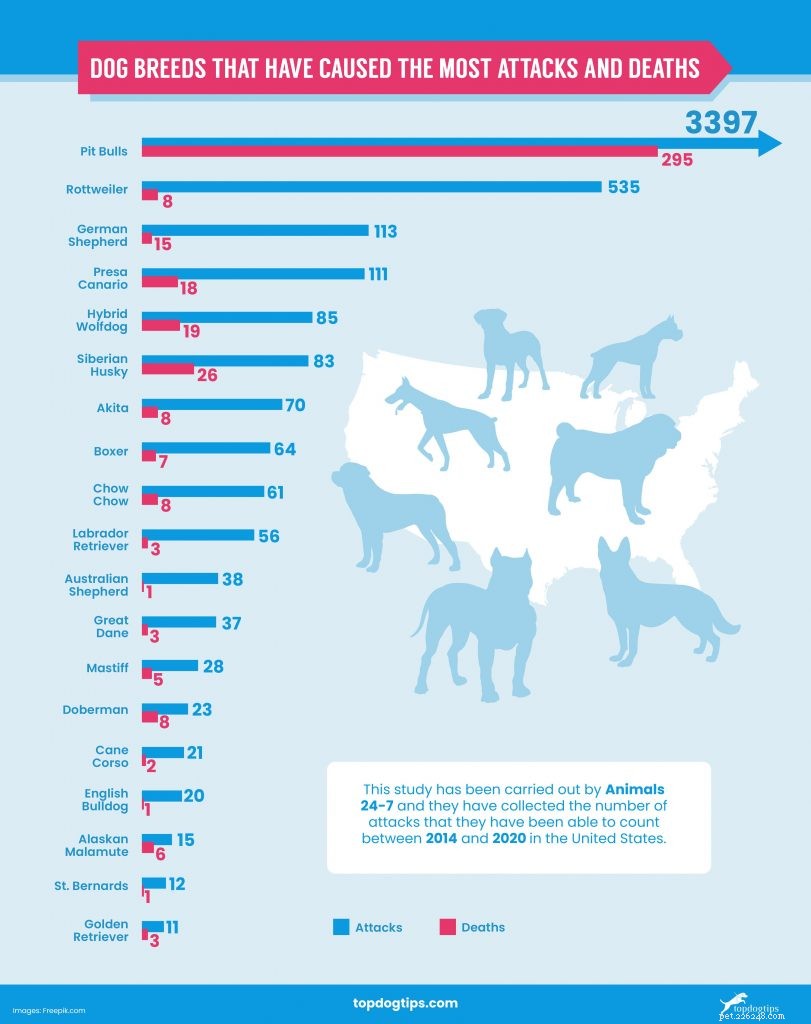 2021 U.S. Dog Bite Statistics: Comparing 19 Breeds for Safety Insights