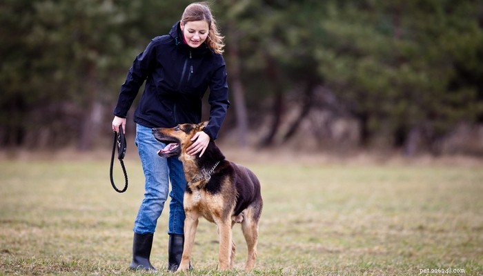 Top 40 Dog Breeds for Women: Find Your Perfect Match