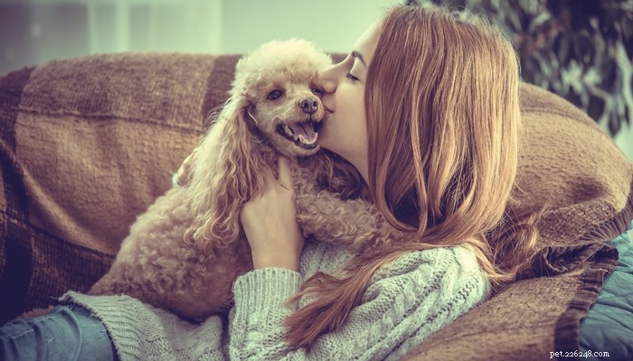Top 40 Dog Breeds for Women: Find Your Perfect Match