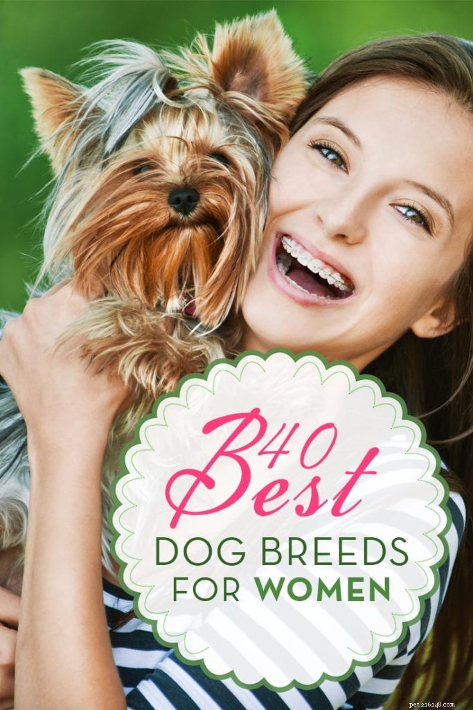 Top 40 Dog Breeds for Women: Find Your Perfect Match
