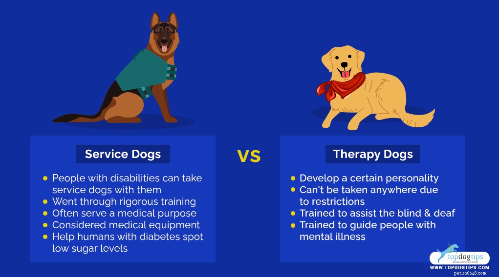 Top 25 Therapy Dog Breeds: Find the Perfect Companion