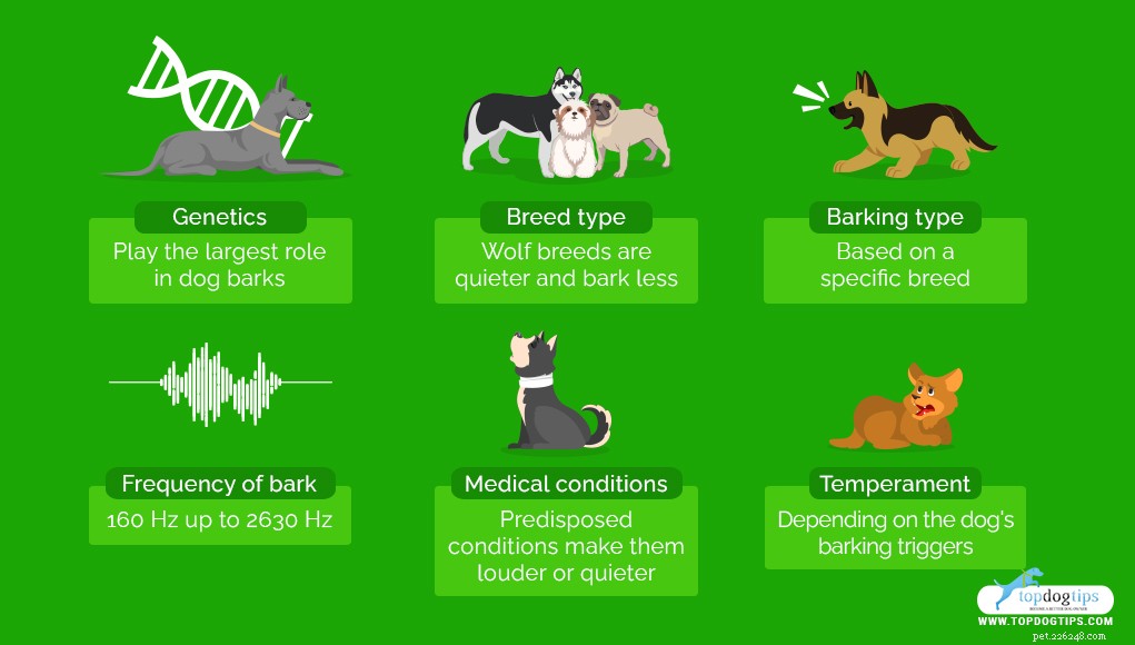 30 Quiet Dog Breeds Ideal for Apartment Living