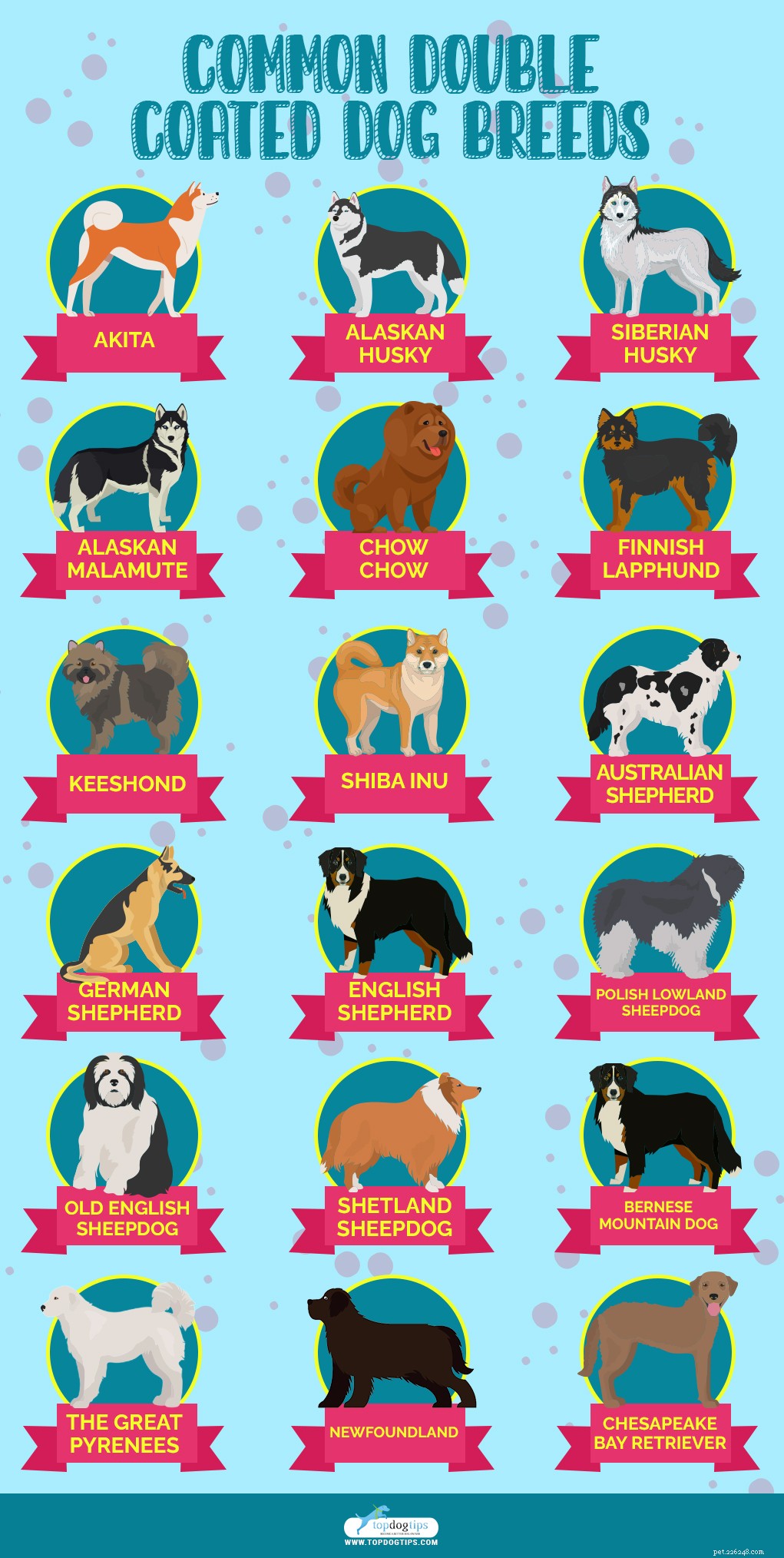 Grooming Double-Coated Dogs: Tips & Breed Guide