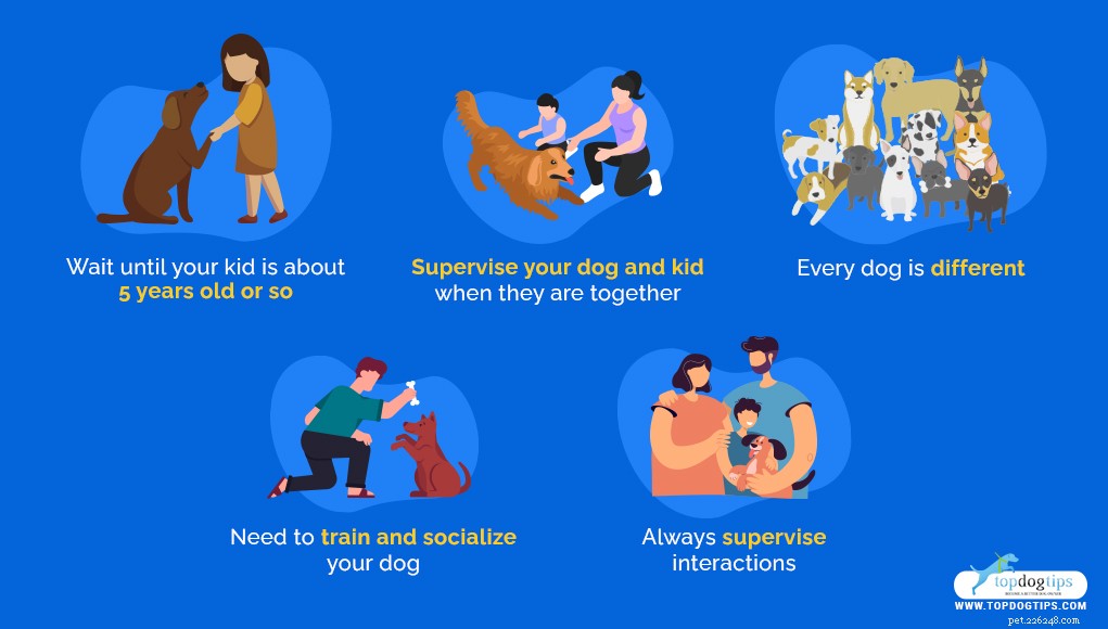 35 Ideal Medium & Small Dog Breeds for Families with Kids