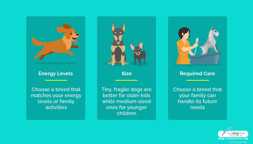 35 Ideal Medium & Small Dog Breeds for Families with Kids