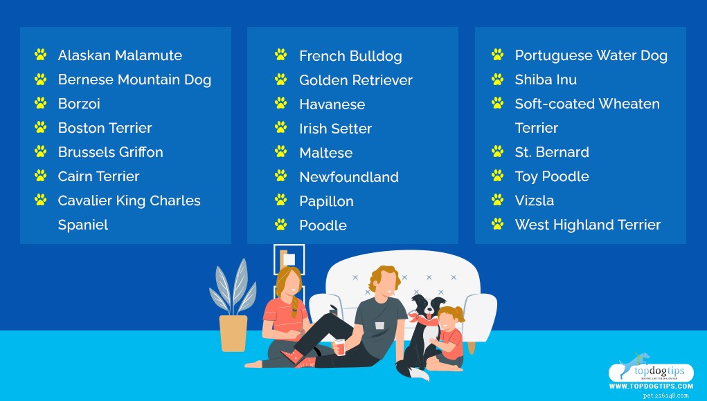 30 Family-Friendly Dog Breeds That Make Great House Pets