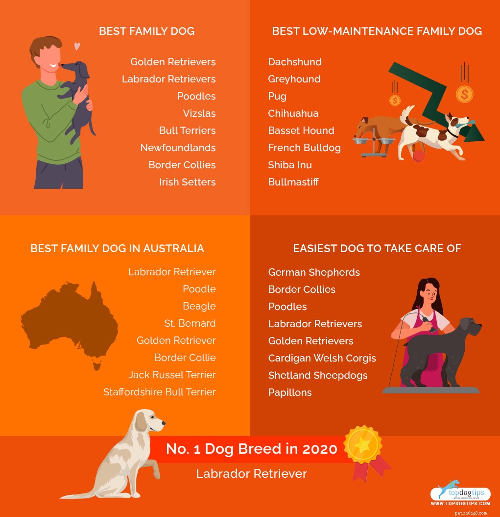 30 Family-Friendly Dog Breeds That Make Great House Pets