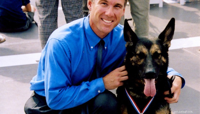The 10 Most Iconic Dogs That Shaped History
