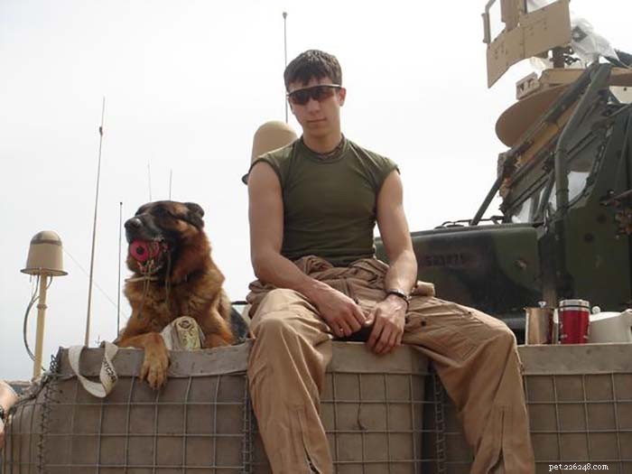 The 10 Most Iconic Dogs That Shaped History