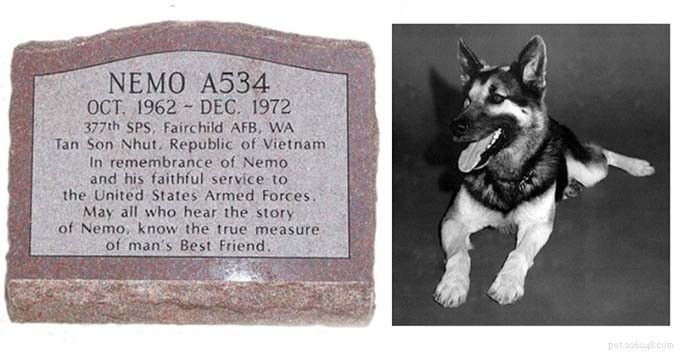 The 10 Most Iconic Dogs That Shaped History
