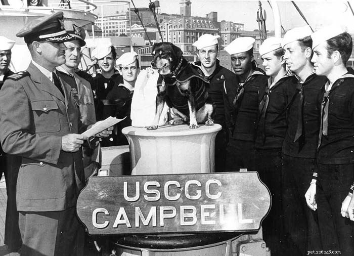 The 10 Most Iconic Dogs That Shaped History