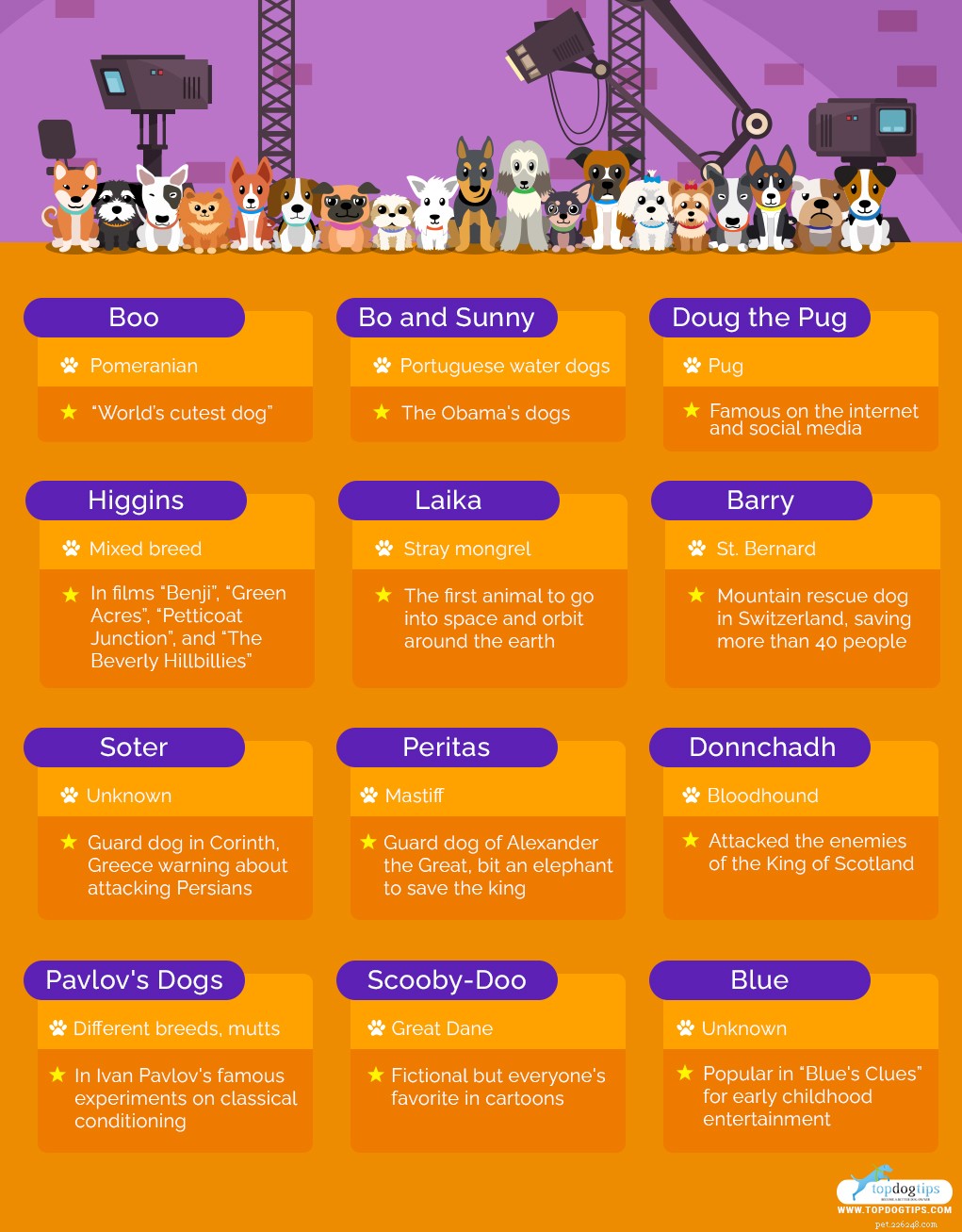 The 10 Most Iconic Dogs That Shaped History