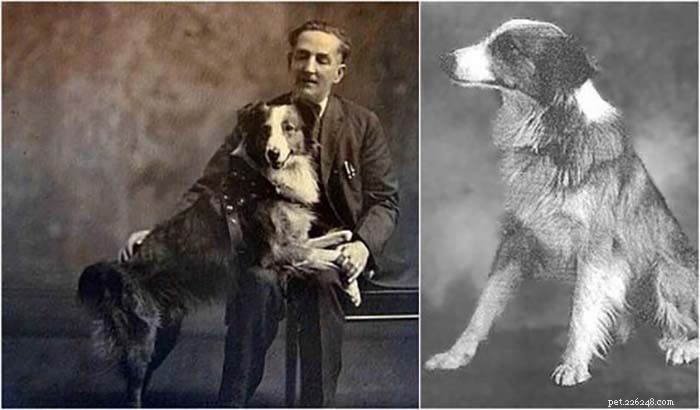 The 10 Most Iconic Dogs That Shaped History
