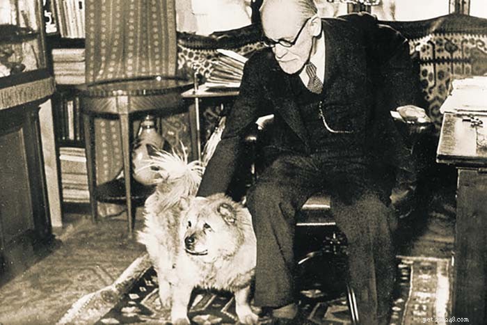 The 10 Most Iconic Dogs That Shaped History