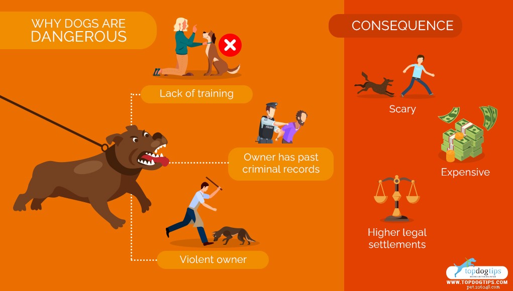 Top 10 Dog Breeds That Can Become Dangerous Without Proper Training