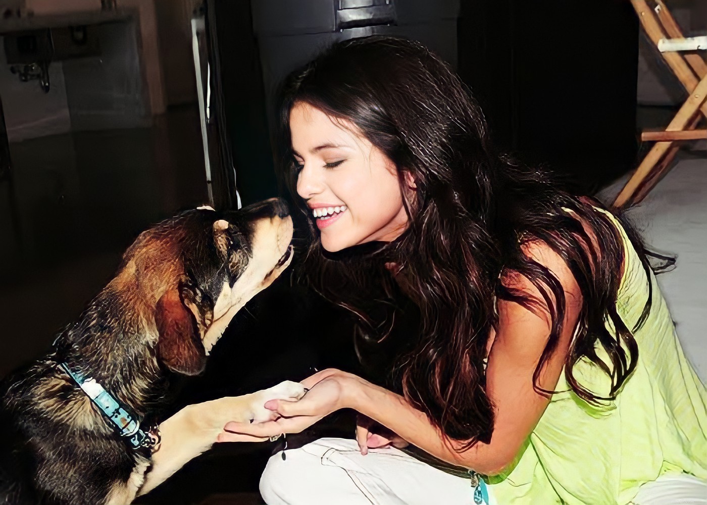 15 Hollywood Stars Who Fell in Love With Their Rescue Dogs
