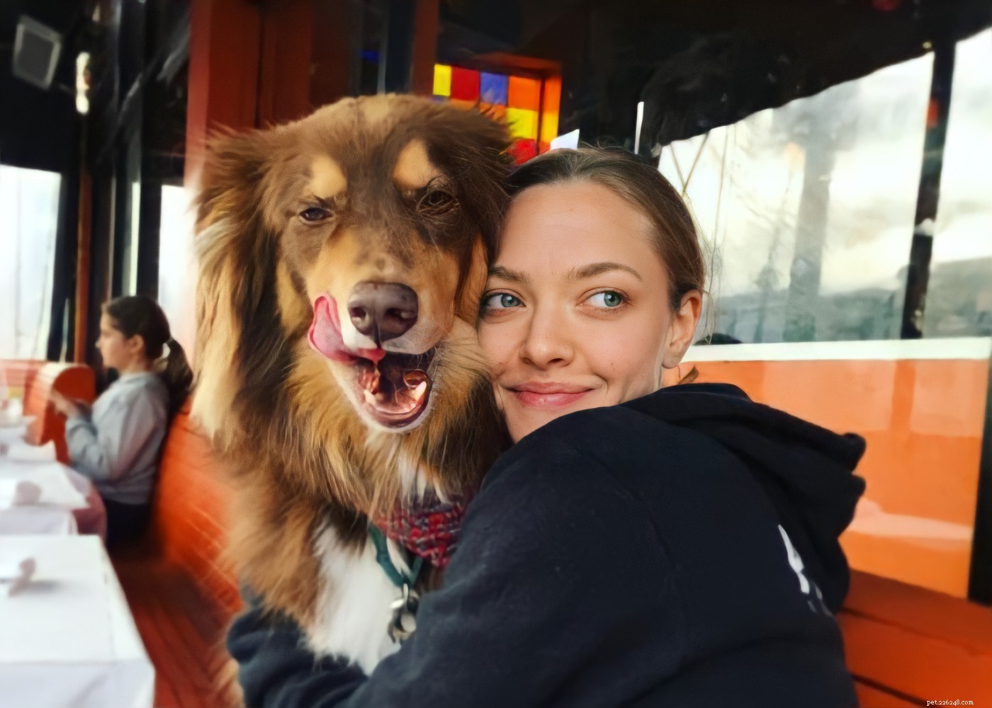 15 Hollywood Stars Who Fell in Love With Their Rescue Dogs