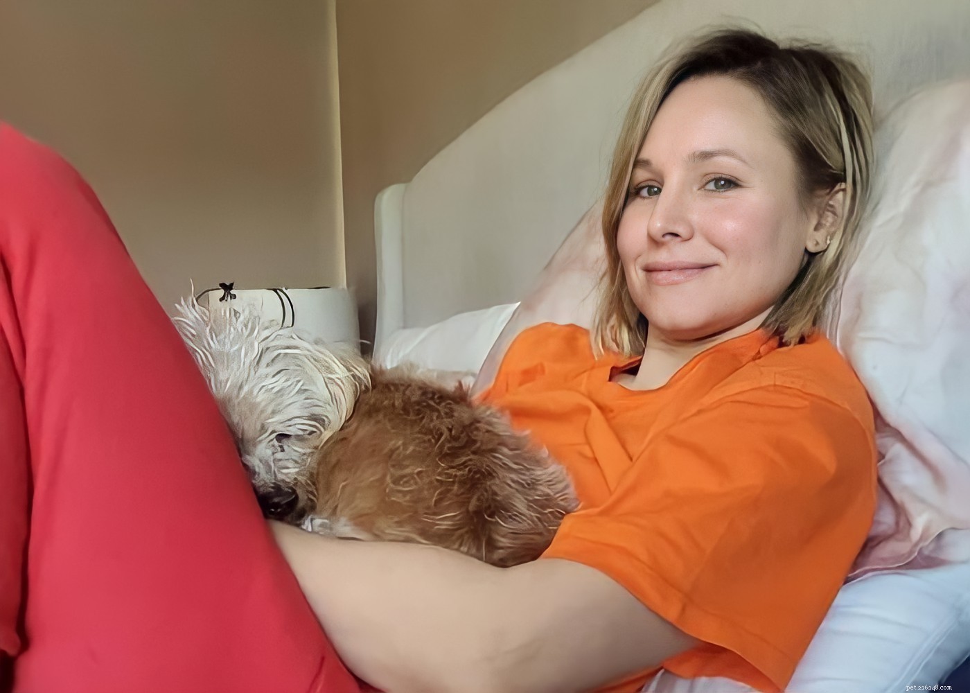 15 Hollywood Stars Who Fell in Love With Their Rescue Dogs