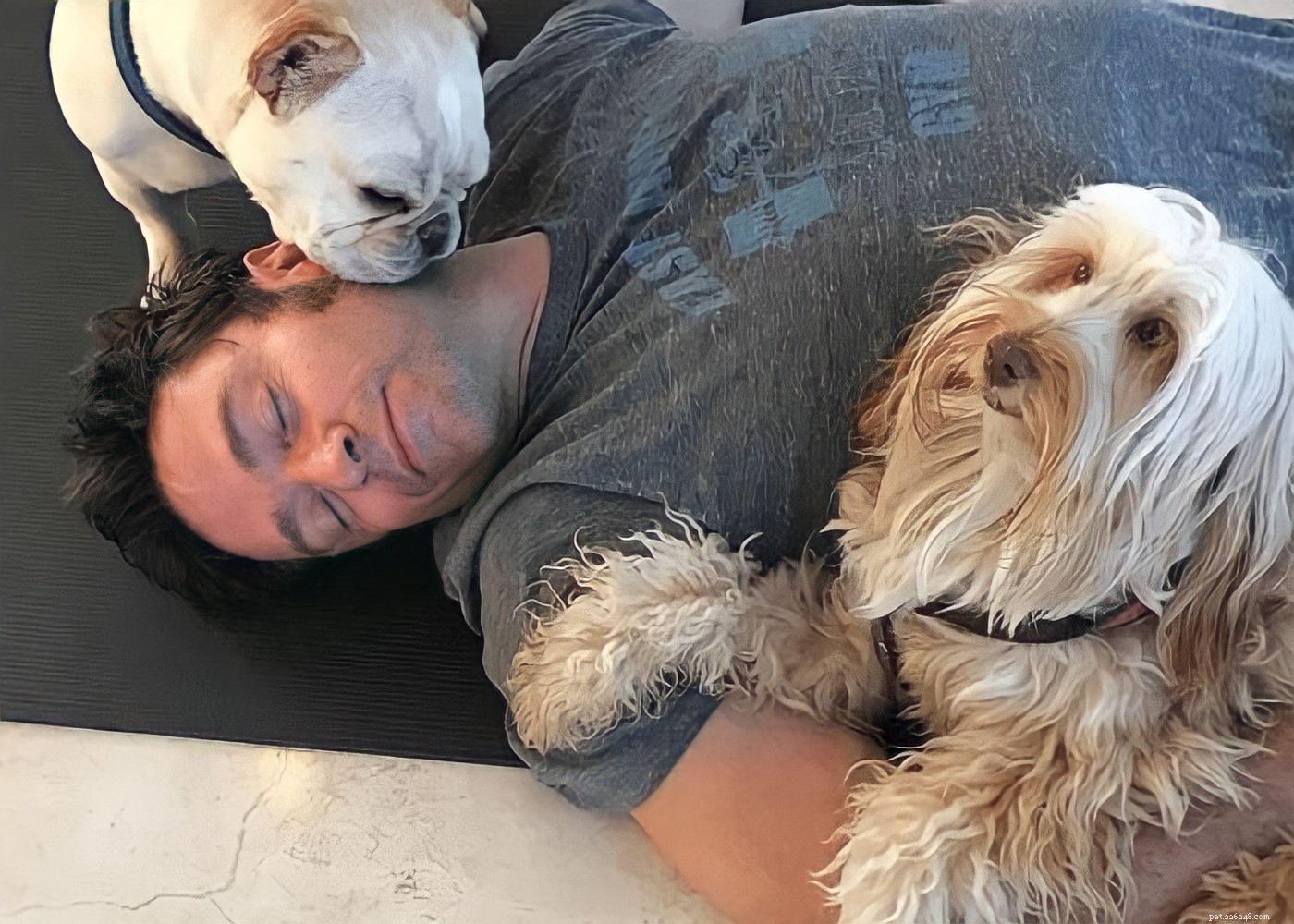 15 Hollywood Stars Who Fell in Love With Their Rescue Dogs