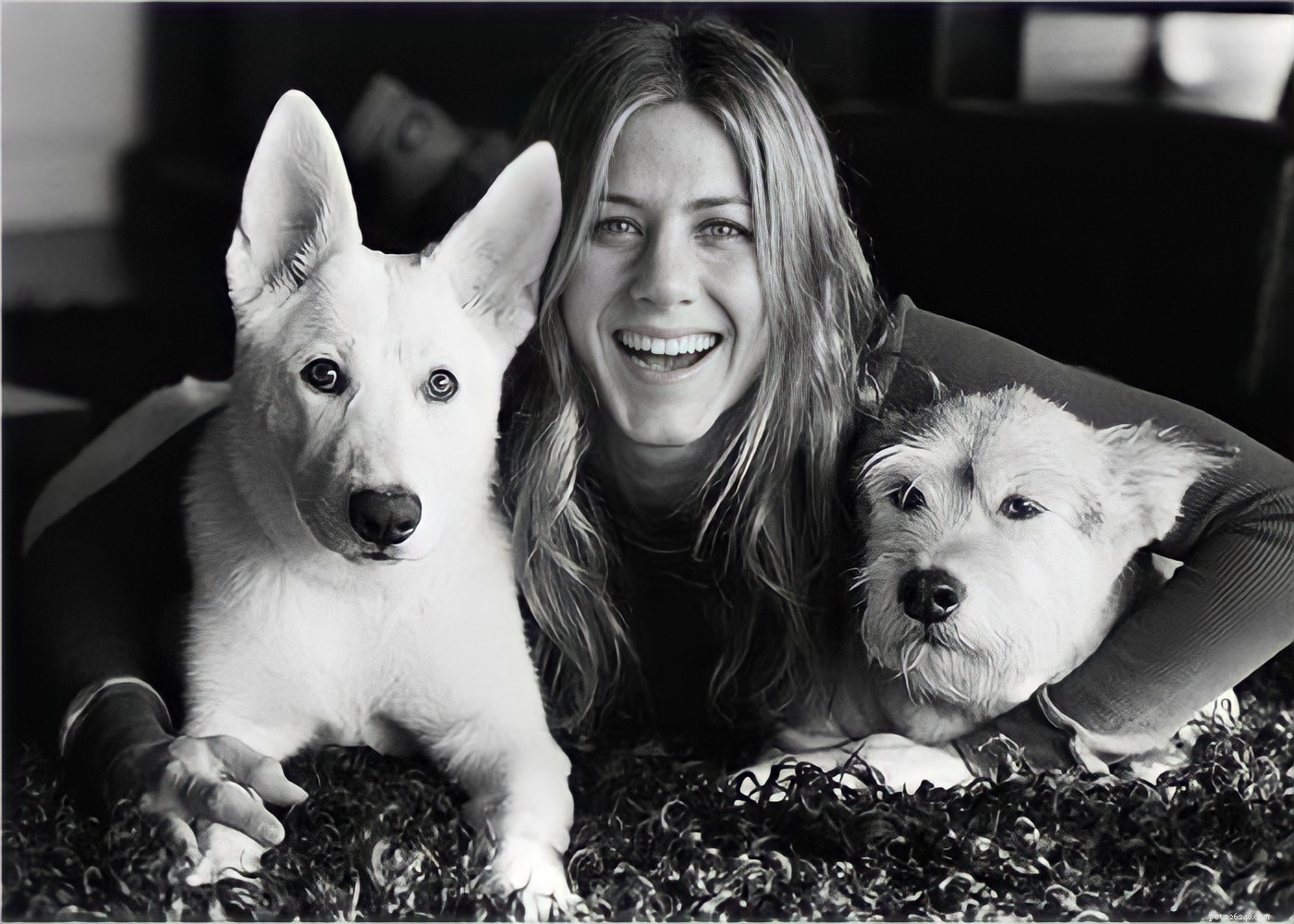 15 Hollywood Stars Who Fell in Love With Their Rescue Dogs