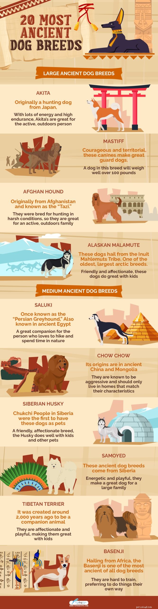 20 Ancient Dog Breeds Shaping Modern Canines