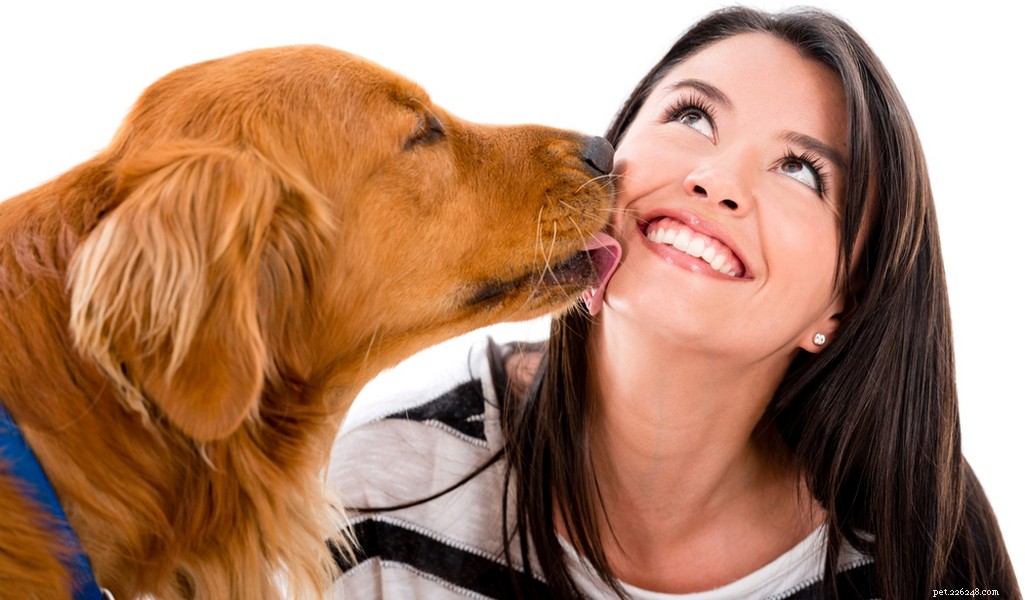 Golden Retriever: A Trusted Family Companion