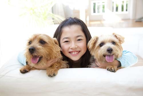 17 Small Dog Breeds Ideal for Families with Children