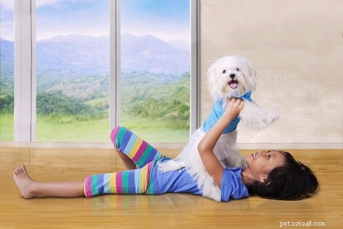 17 Small Dog Breeds Ideal for Families with Children