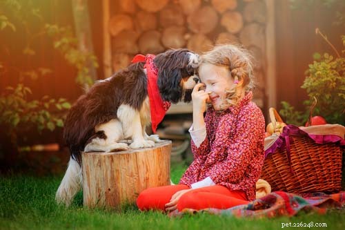 17 Small Dog Breeds Ideal for Families with Children
