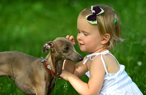 17 Small Dog Breeds Ideal for Families with Children