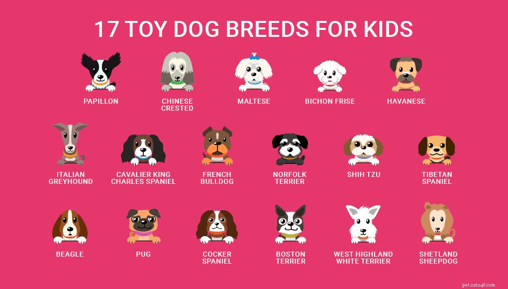 17 Small Dog Breeds Ideal for Families with Children