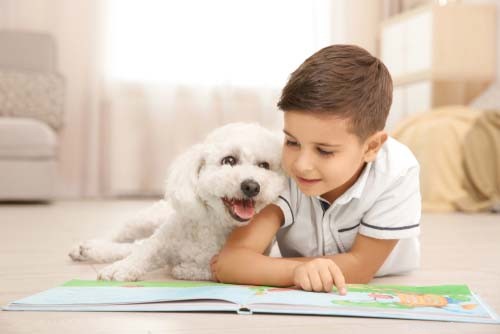 17 Small Dog Breeds Ideal for Families with Children