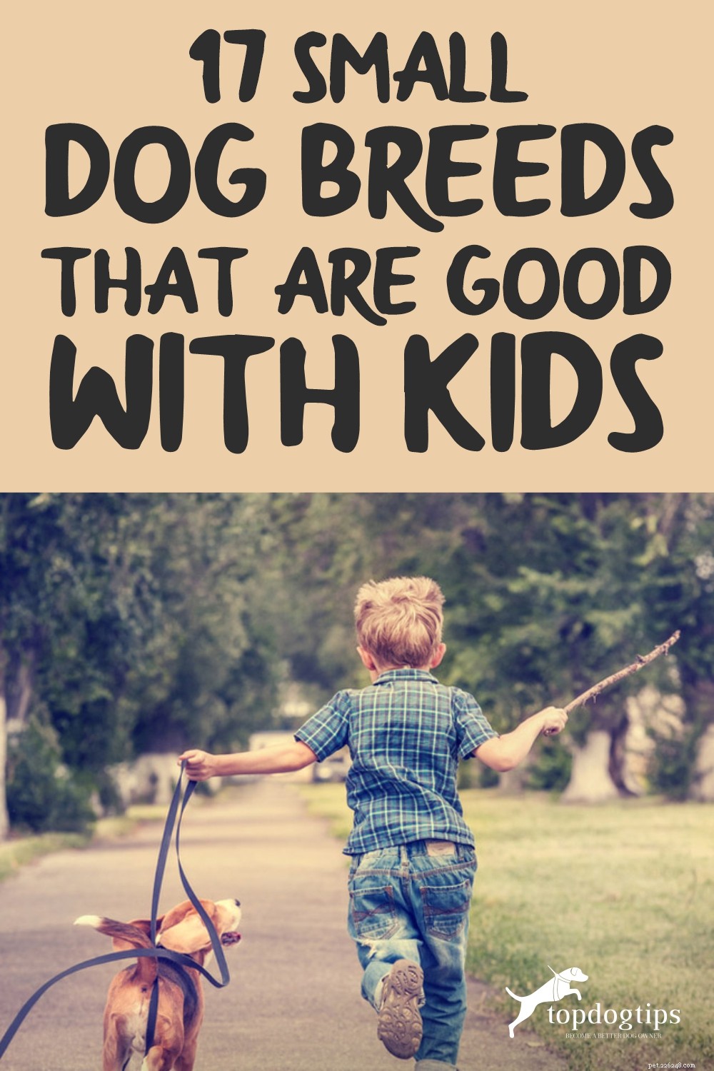 17 Small Dog Breeds Ideal for Families with Children