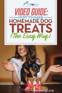 Create Healthy Homemade Dog Treats: Step‑by‑Step Video Tutorial