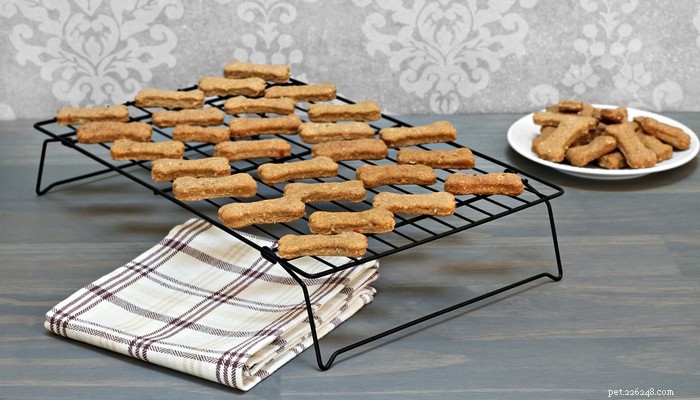 Create Healthy Homemade Dog Treats: Step‑by‑Step Video Tutorial