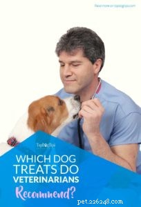 Top Vet-Recommended Dog Treats & Their Benefits