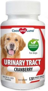 Top Vet-Recommended Dog Treats & Their Benefits