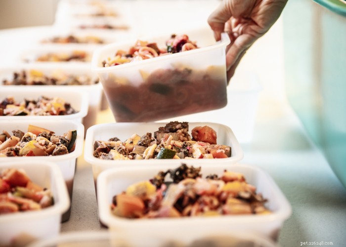 Quick & Healthy Instant Pot Dog Food Recipes for Home-Cooked Meals