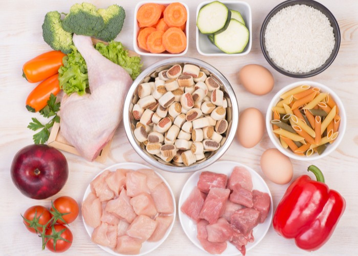 Quick & Healthy Instant Pot Dog Food Recipes for Home-Cooked Meals