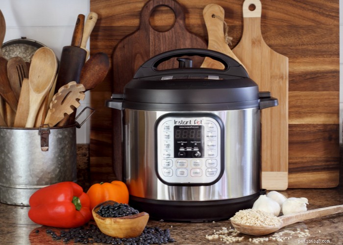 Quick & Healthy Instant Pot Dog Food Recipes for Home-Cooked Meals