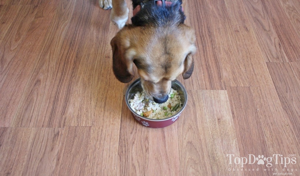 Nutritious Beef & Chicken Liver Dog Food Recipe – Simple, Budget‑Friendly & Vet‑Approved