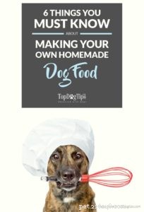 6 Essential Tips for Crafting Nutritious Homemade Dog Food