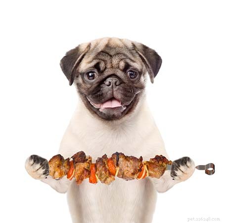 6 Essential Tips for Crafting Nutritious Homemade Dog Food
