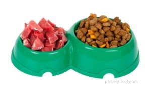 6 Essential Tips for Crafting Nutritious Homemade Dog Food