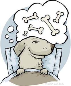 6 Essential Tips for Crafting Nutritious Homemade Dog Food