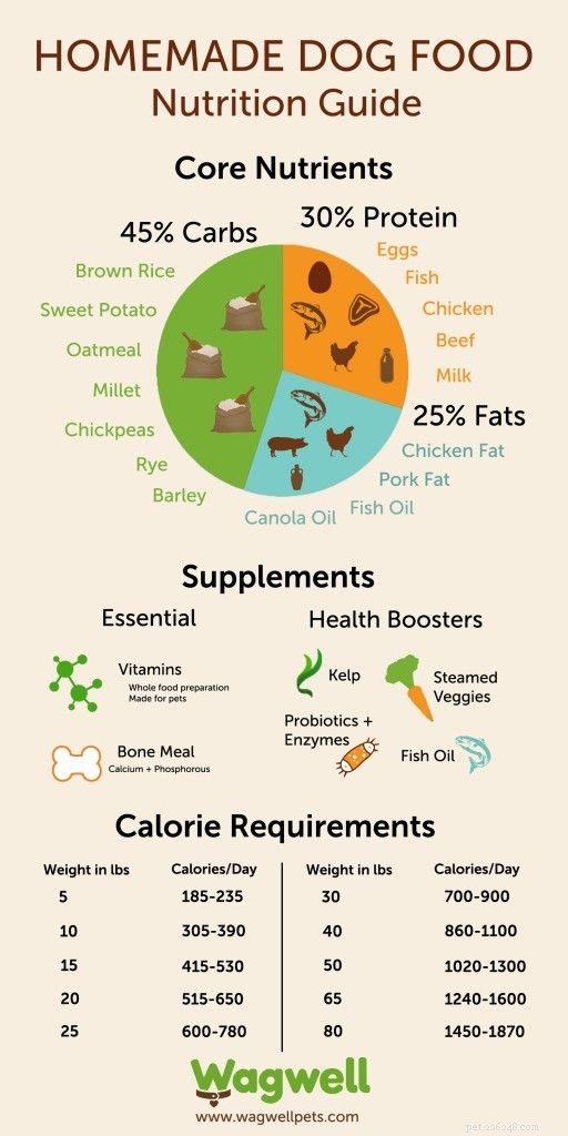 6 Essential Tips for Crafting Nutritious Homemade Dog Food