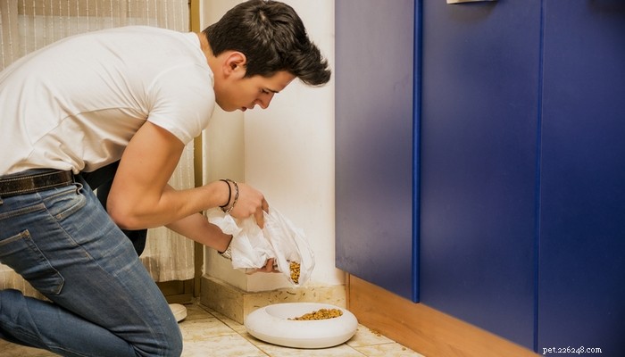 Natural Dog Food Unveiled: Benefits, Risks, and What Owners Should Know