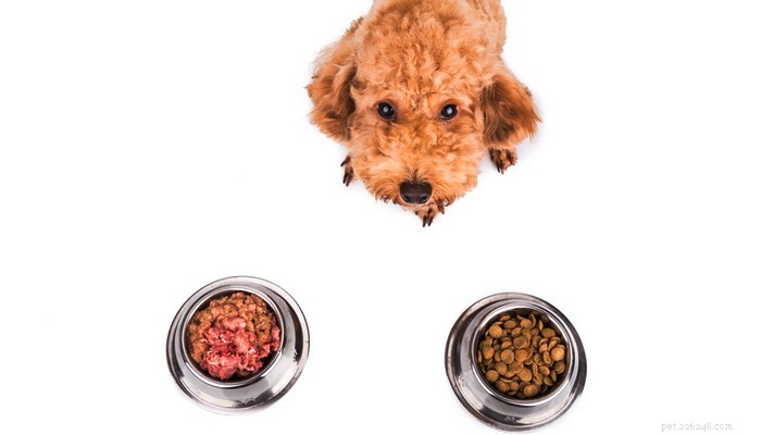 Is the BARF Diet Right for Your Dog? Pros, Cons, and Key Facts